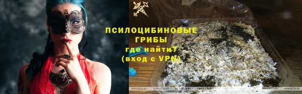 ECSTASY Новозыбков