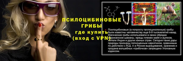 сатива Новодвинск