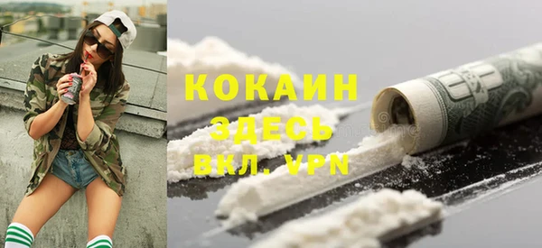 ECSTASY Новозыбков