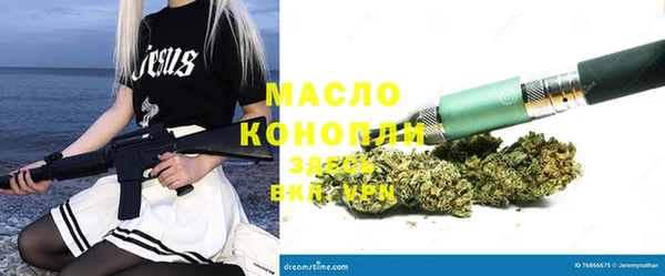 сатива Новодвинск