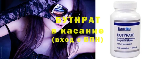 сатива Новодвинск