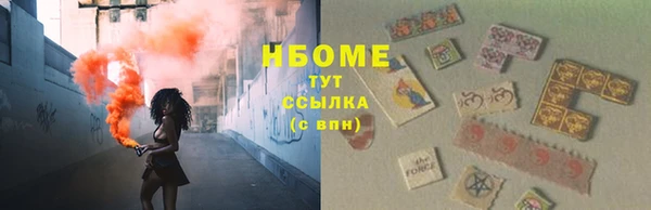 сатива Новодвинск