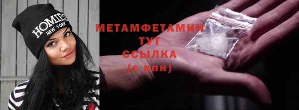 сатива Новодвинск