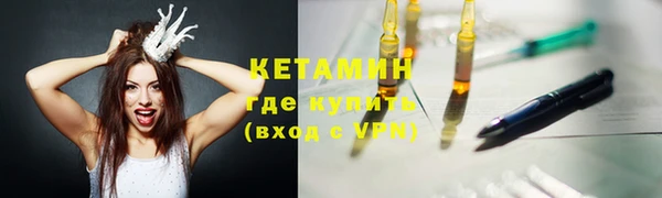 сатива Новодвинск