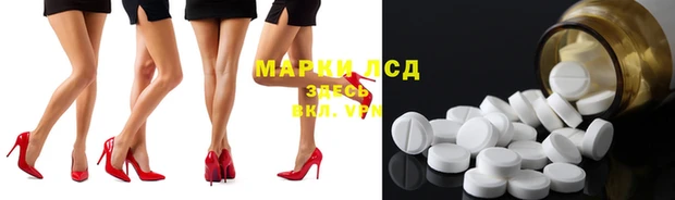 ECSTASY Новозыбков