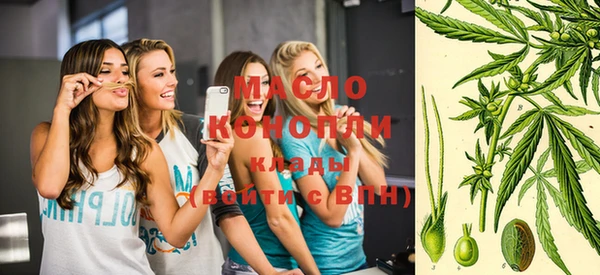 сатива Новодвинск