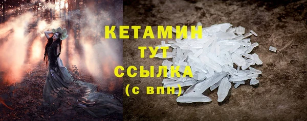 сатива Новодвинск