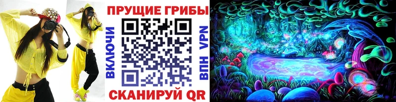 Псилоцибиновые грибы MAGIC MUSHROOMS  Купить  Юхнов 